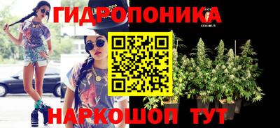 гашик Ликино-Дулёво
