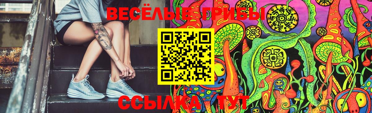 Галлюциногенные грибы GOLDEN TEACHER  Вход с VPN  Казань 