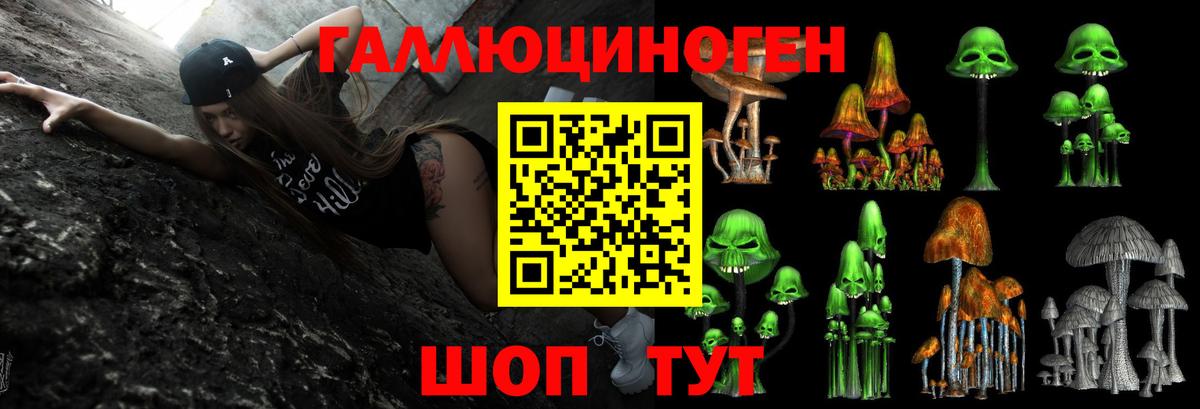 Псилоцибиновые грибы Psilocybe Казань